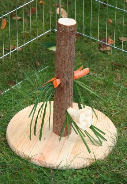 Futterbaum für Kaninchen