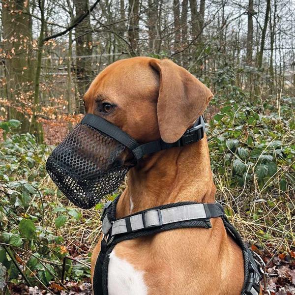 Giftköderschutz - Nobby Giftködermaulkorb stufenlos verstellbar, wirksamer Schutz gegen die Aufnahme von Giftködern