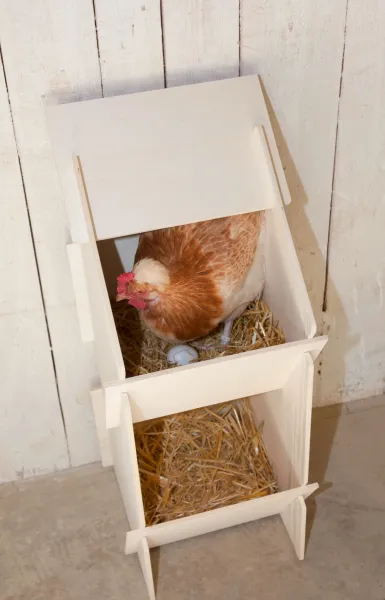 Legenest aus Holz für bis zu 10 Hennen - Brutnest für Hühner
