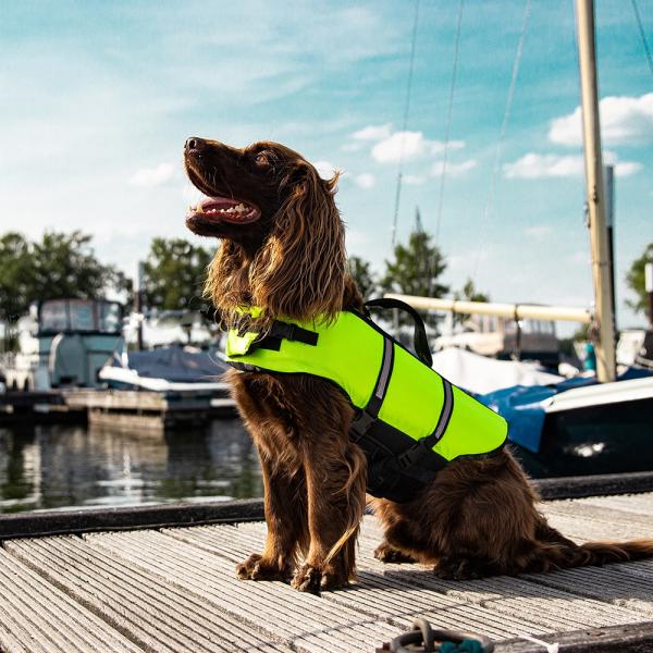 Hunde Schwimmhilfe - Rettungsweste und Schwimmweste für Hunde mit Tragegriff - ideal als Tragehilfe, gelb