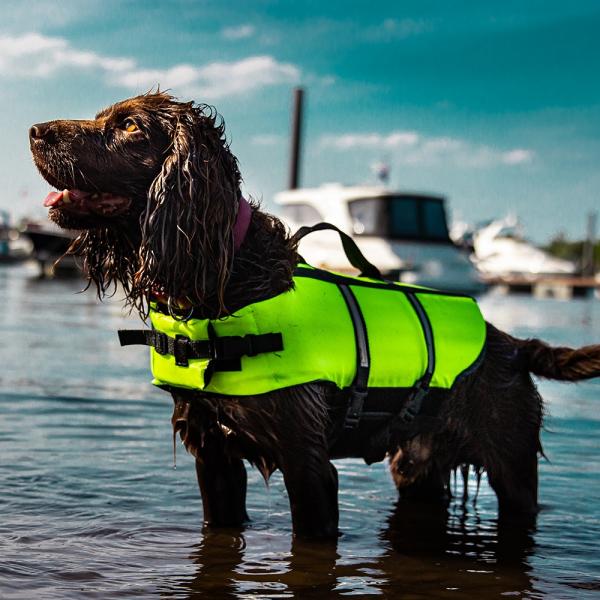 Hunde Schwimmhilfe - Rettungsweste und Schwimmweste für Hunde mit Tragegriff - ideal als Tragehilfe, gelb