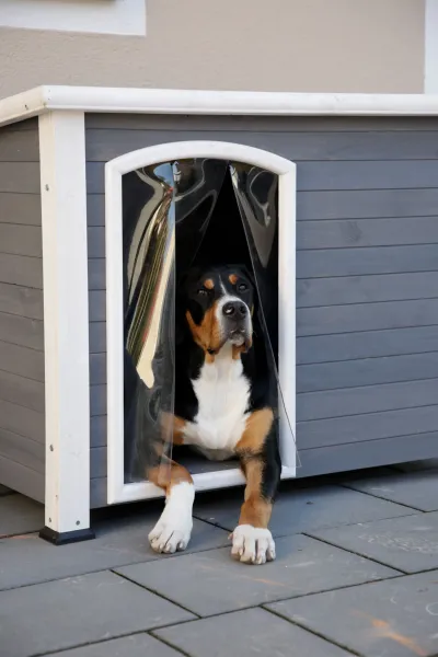 Hundehütte Outdoor - Hundehütte Kenny, wetterfest mit Lamellenvorhang, grau