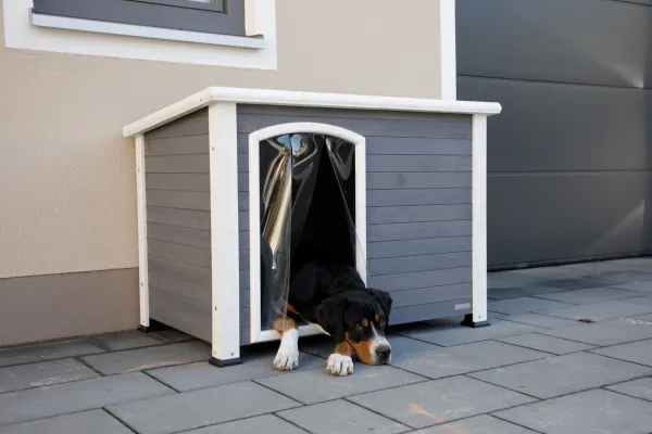 Hundehütte Outdoor - Hundehütte Kenny, wetterfest mit Lamellenvorhang, grau