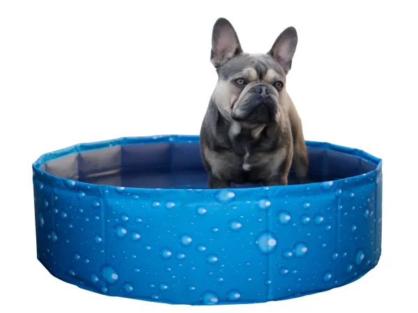 Hundepool Bubble - Planschbecken für Hunde, ideale Abkühlung für heiße Tage, kann flexibel aufgebaut werden ( auch eckig )
