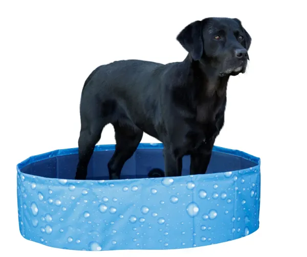 Hundepool Bubble - Planschbecken für Hunde, ideale Abkühlung für heiße Tage, kann flexibel aufgebaut werden ( auch eckig )