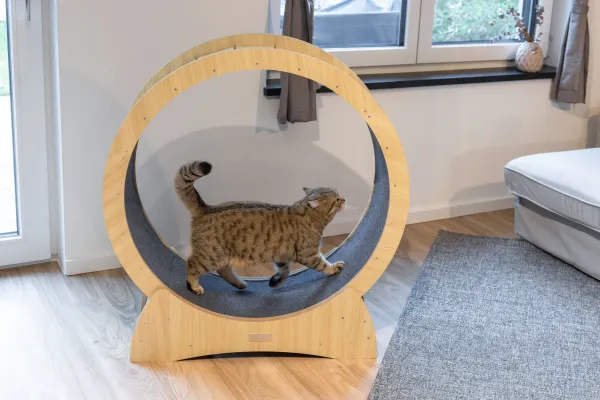 Katzenlaufrad - Laufrad für Katzen Lauffläche 30 cm, ⌀ 90 cm