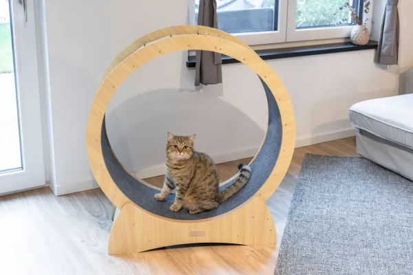Katzenlaufrad - Laufrad für Katzen Lauffläche 30 cm, ⌀ 90 cm