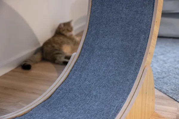 Katzenlaufrad - Laufrad für Katzen Lauffläche 30 cm, ⌀ 90 cm