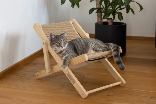 Katzenbett Liegestuhl Beach - Liedgemulde für Katzen zum Relaxen, Dösen und Kratzen