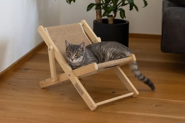 Katzenbett Liegestuhl Beach - Liedgemulde für Katzen zum Relaxen, Dösen und Kratzen