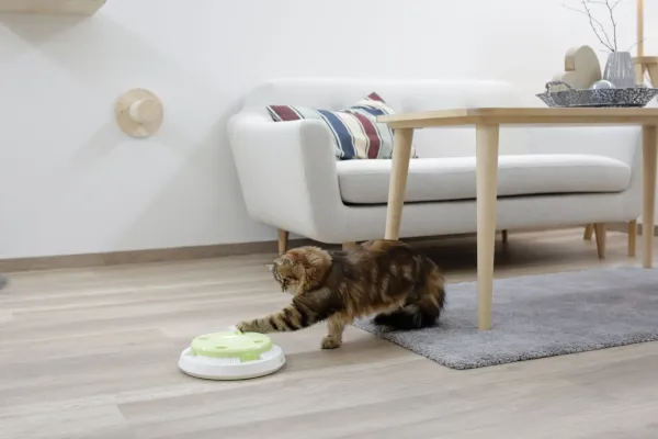 Katzenspielzeug Pompom - elektronisches Katzenspielzeug mit rotierender Feder