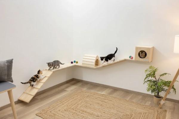 Kletterwand für Nager und Katzen - Kleintier Wand Parcours Sidewalk / Catwalk 6-teilig - Kaninchen, Frettchen, Kaninchen und Katzen Wandmontage