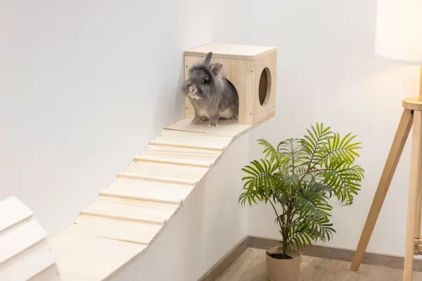 Kletterwand für Nager und Katzen - Kleintier Wand Parcours Sidewalk / Catwalk 6-teilig - Kaninchen, Frettchen, Kaninchen und Katzen Wandmontage