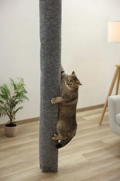 Klettersack Carpet für Katzen - ideale Alternative zu Kratzbaum deckenhoch, Aufstiegshilfe, Bezug waschbar, grau