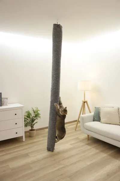 Klettersack Carpet für Katzen - ideale Alternative zu Kratzbaum deckenhoch, Aufstiegshilfe, Bezug waschbar, grau