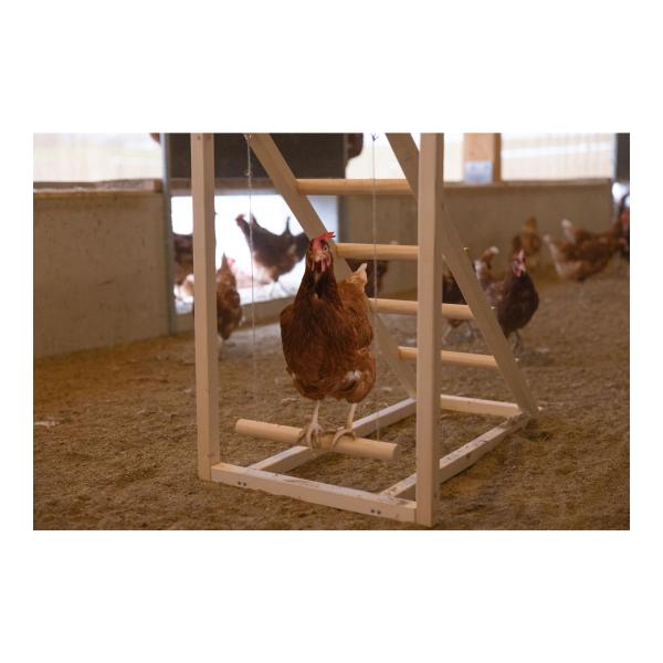 Kletterturm für Hühner mit Hühnerschaukel, auch für Papageien geeignet