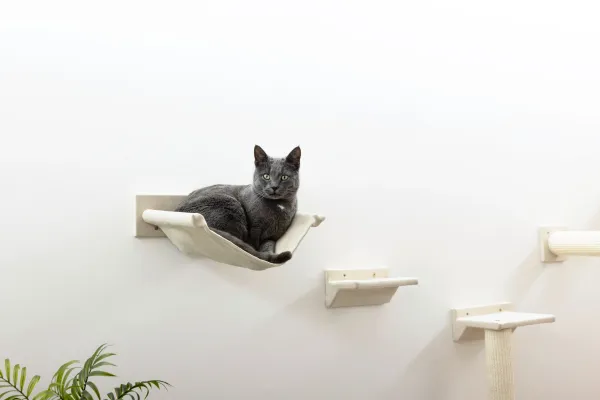 Kletterwand Monte Falco für Katzen, 6-teilig, beige - Wandkratzbaum beliebig montierbar und erweiterbar