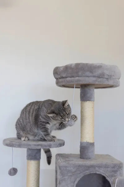 Kratzbaum Levi Kerbl für Katzen - hoher Katzenbaum 167 cm für kleine bis mittelgroße Katzen, ideal für mehrere Katzen