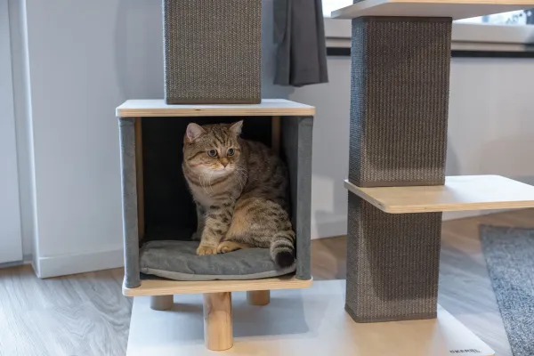 Kratzbaum Noah IV grau - Kerbl Designer Katzenbaum Echtholz, eckige Kratzsäulen, als Eckkratzbaum geeignet