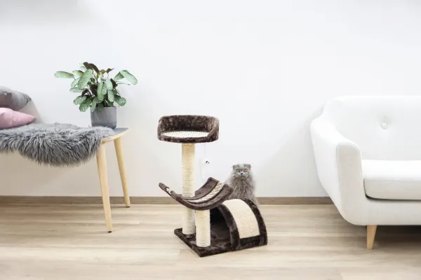 Kerbl Pet Kratzbaum Safari – Katzenbaum für Katzen und Kitten zum Krallenwetzen, Klettern und Spielen