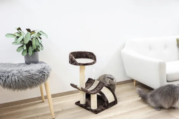 Kerbl Pet Kratzbaum Safari – Katzenbaum für Katzen und Kitten zum Krallenwetzen, Klettern und Spielen