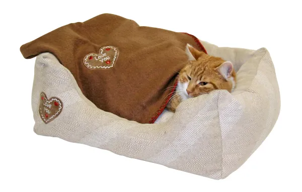 Kerbl Love You Hundebett für kleine Hunde Chihuahua und Katzenbett inklusive Decke, waschbar