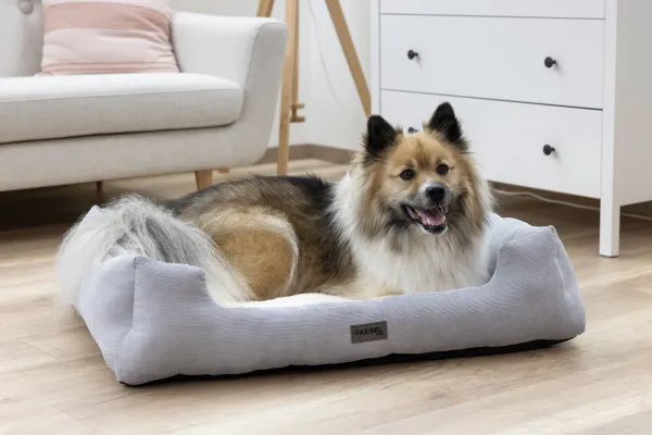 Hundebett und Katzenbett Zoe Kerbl - eckiges Körbchern Cordoptik, waschbar, niedriger Einstieg