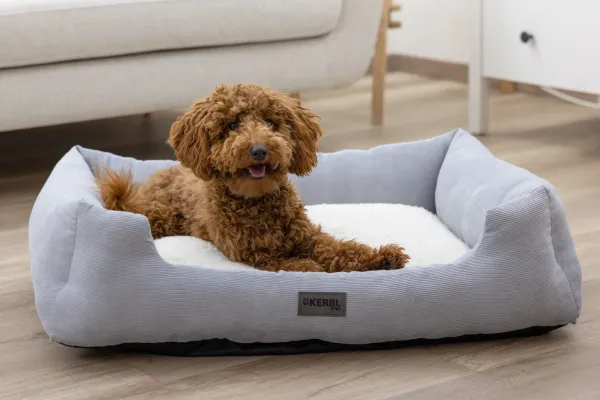 Hundebett und Katzenbett Zoe Kerbl - eckiges Körbchern Cordoptik, waschbar, niedriger Einstieg