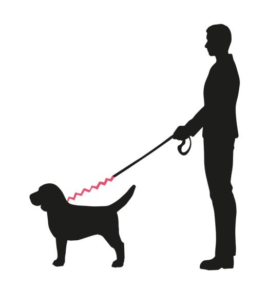 Leinengurt - Soft Stop Belt - ruckdämpfender Gurt für die Hundeleine beim Joggen und Radfahren