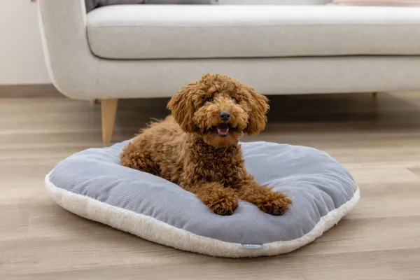 Hundekissen Zoe oval Cordoptik, ideale Einlage für den Hundekorb oder Hunderbox, waschbar