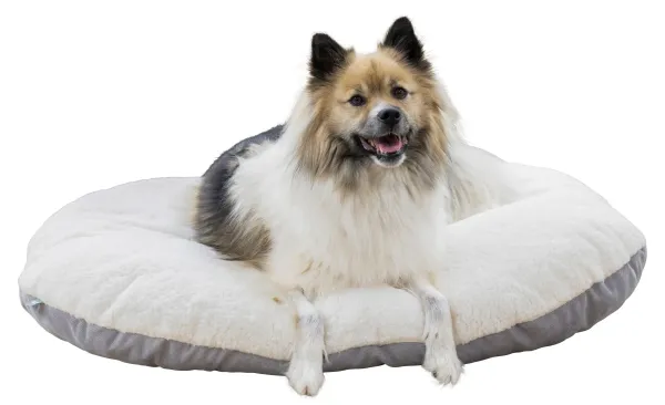 Hundekissen Zoe oval Cordoptik, ideale Einlage für den Hundekorb oder Hunderbox, waschbar