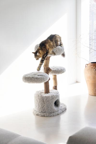 [B-Ware] Naturholz Katzenkratzbaum Ziza 100cm Designed by Lotte mit Naturstämmen