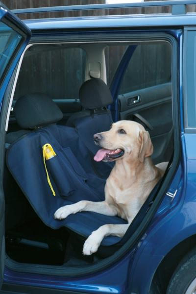 Autoschondecke Hund inklusive Reisetrinkflasche - Schutzdecke für die Rückbank, schmutzabweisend, wasserabweisend