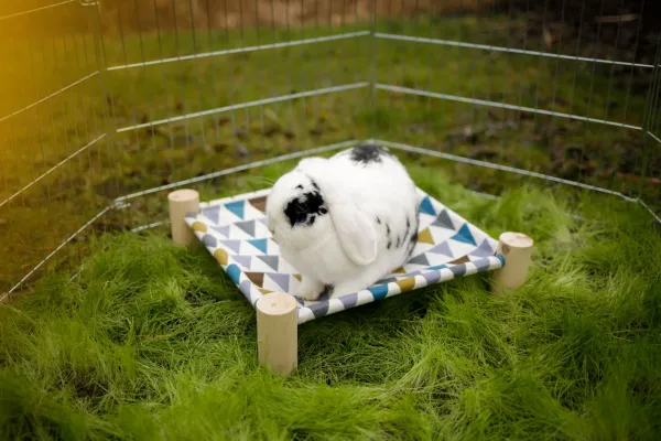 Hängematte für Nager, kleine Katzen und kleine Hunde z.B. Chihuahuas, waschbare Liegemulde in modernem Design