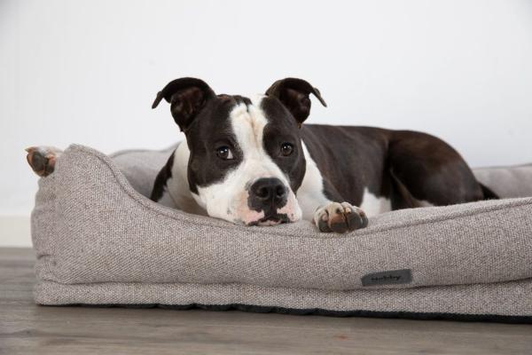 hunde luxus bett Premium Luxus Hundebett Wie lange schlafen Hunde?