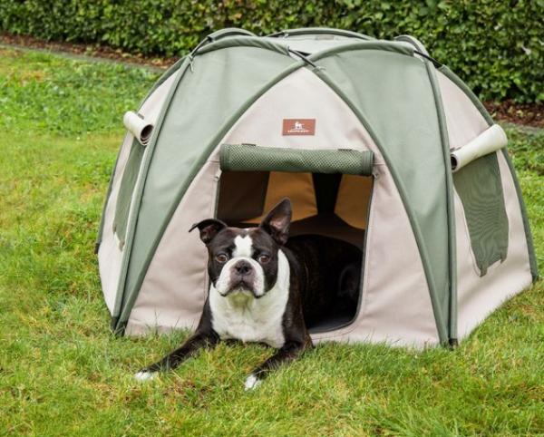 Hundezelt Outdoor Knuffelwuff – Faltbares, stabiles Zelt für deinen Hund mit Fleeceboden und Belüftung, ideal für Camping