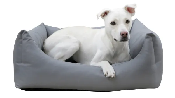 Hundebett für draußen und drinnen Oxford Place - wasserabweisend, schmutzabweisend, ideal für ältere Hunde