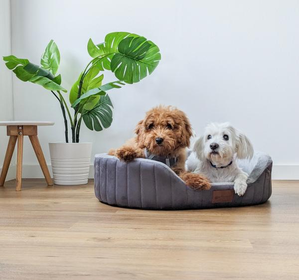 Orthopädisches Hundebett Petlando Genua Ortho in grau mit erhöhtem Rand