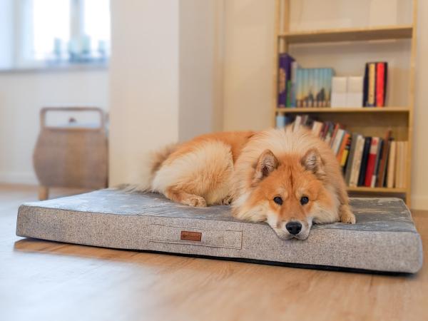 Petlando Merano grau