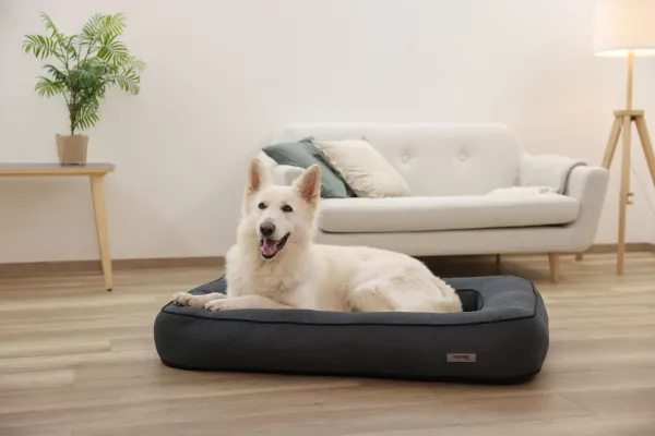 Orthopädisches Hundebett Platin Ortho eckig, grau - Hundekissen mit Rand, Bezug abnehmbar und waschbar mit Wendekissen