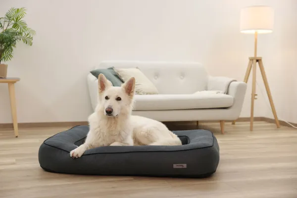 Orthopädisches Hundebett Platin Ortho eckig, grau - Hundekissen mit Rand, Bezug abnehmbar und waschbar mit Wendekissen