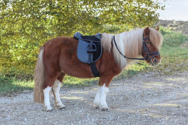 Ponysattel