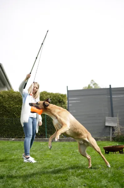 Reizangel für Hunde OHNE Spielzeug 47-130 cm - Spielangel und Jagdangel Dog Dangler zum Hundetraining und zur Auslastung