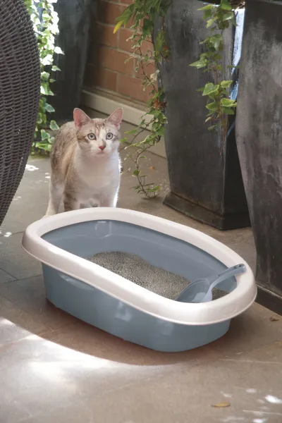 Katzentoilette Sprint 58 x 39 x 17cm blau - Schalentoilette auch für große Katzen geeignet