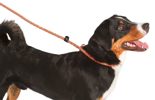 Schlupfleine Maxi Safe - Retrieverleine und Moxonleine geflochten für Hunde, reflektierend, 170 cm, mit Zugstopp