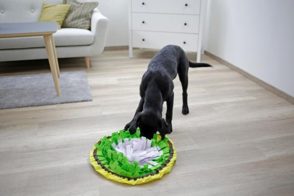 Schnüffelteppich Bowl - Schnüffelmatte und Antischlingnapf in Einem Ø 60 cm