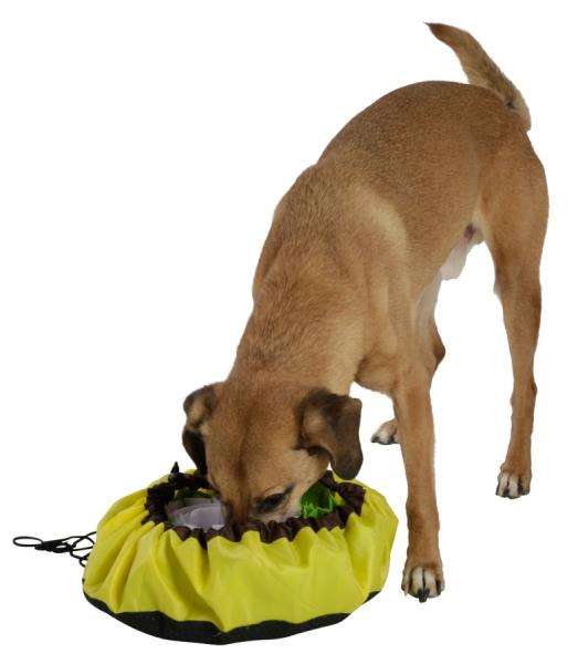 Schnüffelteppich Bowl - Schnüffelmatte und Antischlingnapf in Einem Ø 60 cm