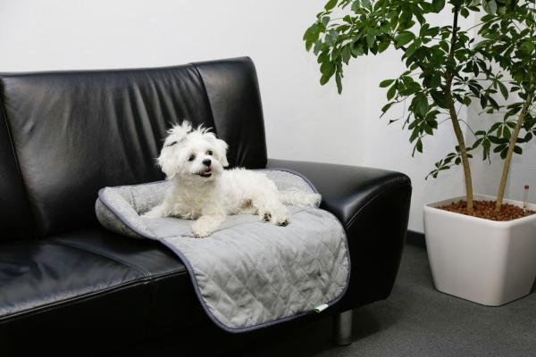 Sofaschutz für Hunde Emalia - Hundebett mit Rand zum Schutz der Möbel vor Tierhaaren waschbar bei 30 °C