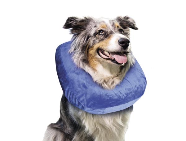 Halskrause Hund - Aufblasbarer Schutzkragen - Leckschutz nach OP