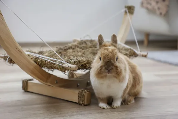Grashängematte für Nagetiere - Hängematte und Schlafplatz für Kaninchen